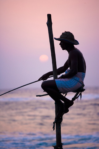 Stilt Fishermen